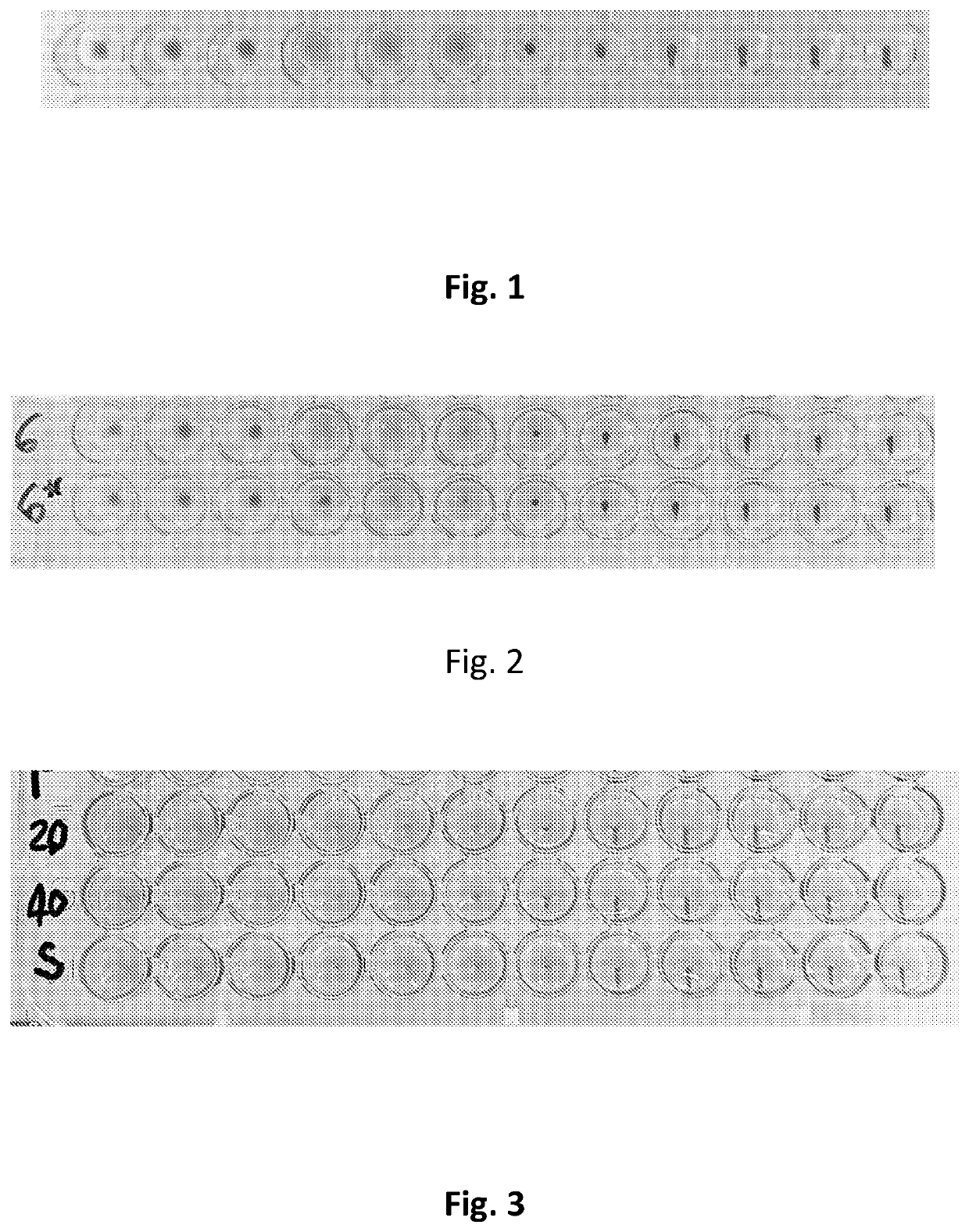 Stabilized non-enveloped virus compositions