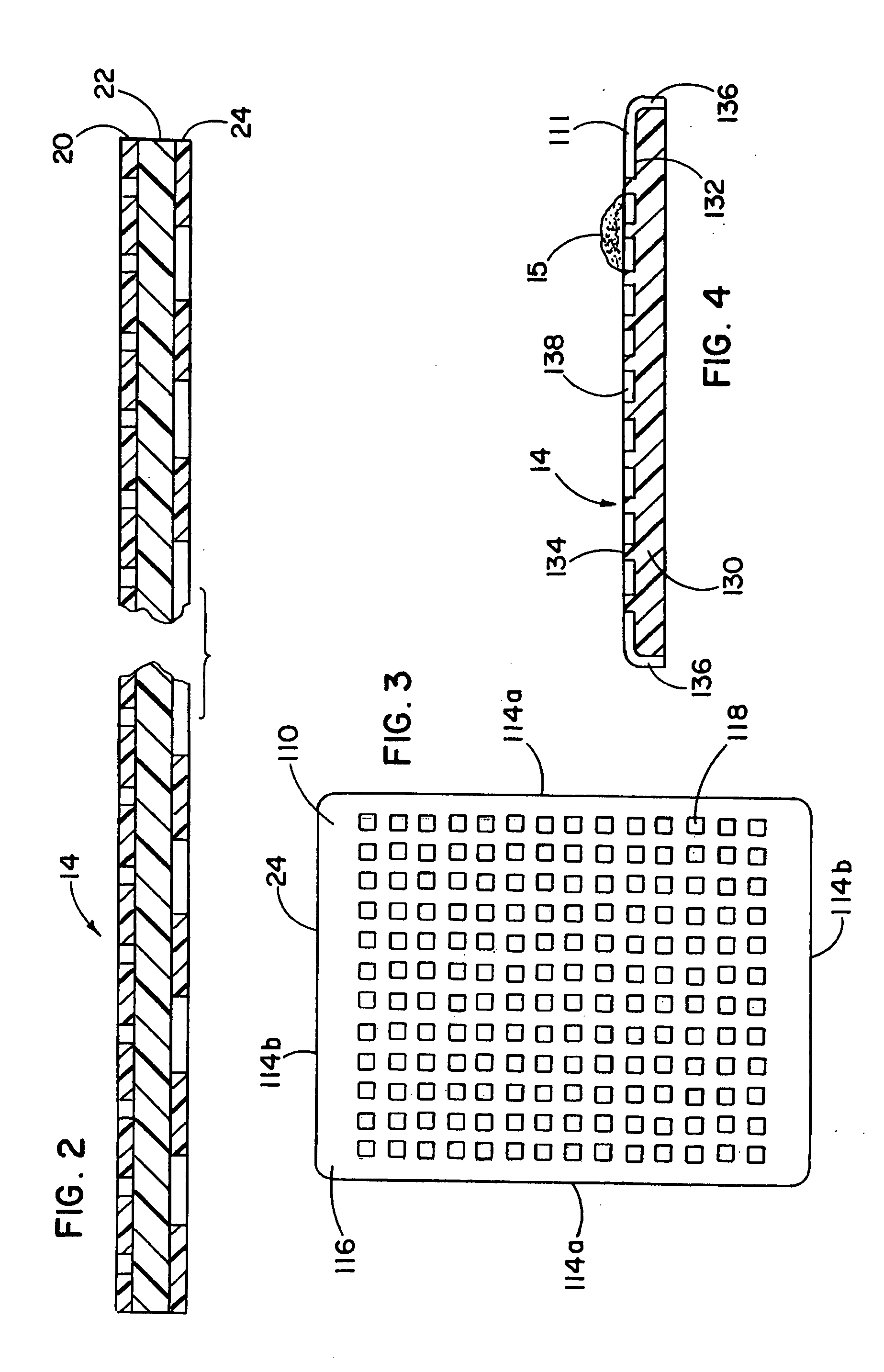 Apparatus and method for in situ processing of a tissue specimen
