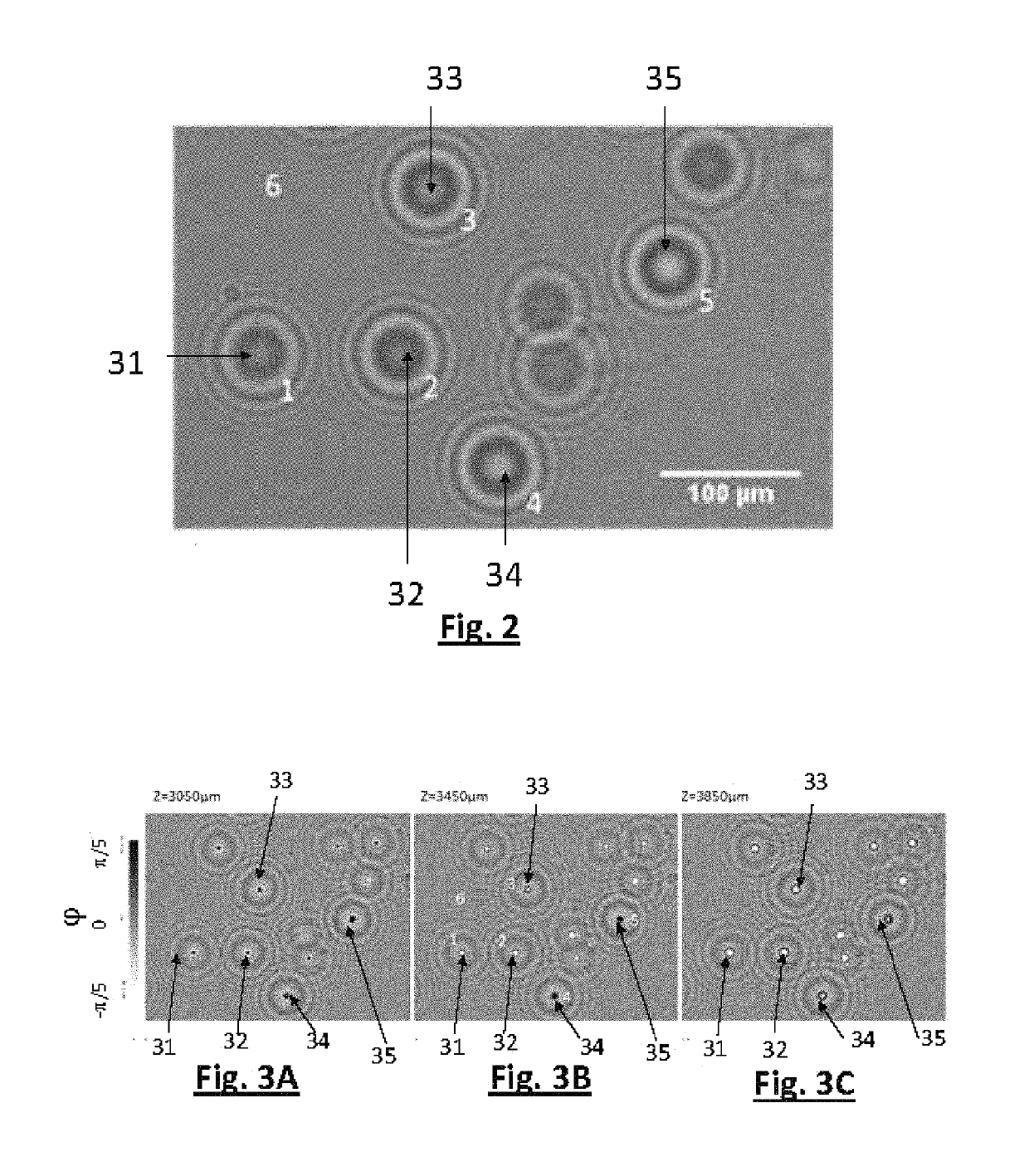 Method for determining the state of a cell