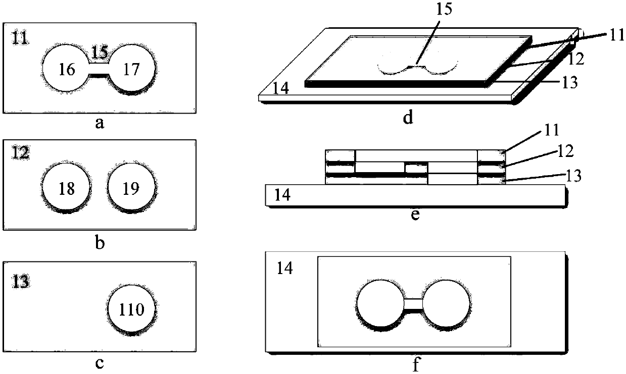 Micro-fluidic chip and method for studying cell chemotaxis