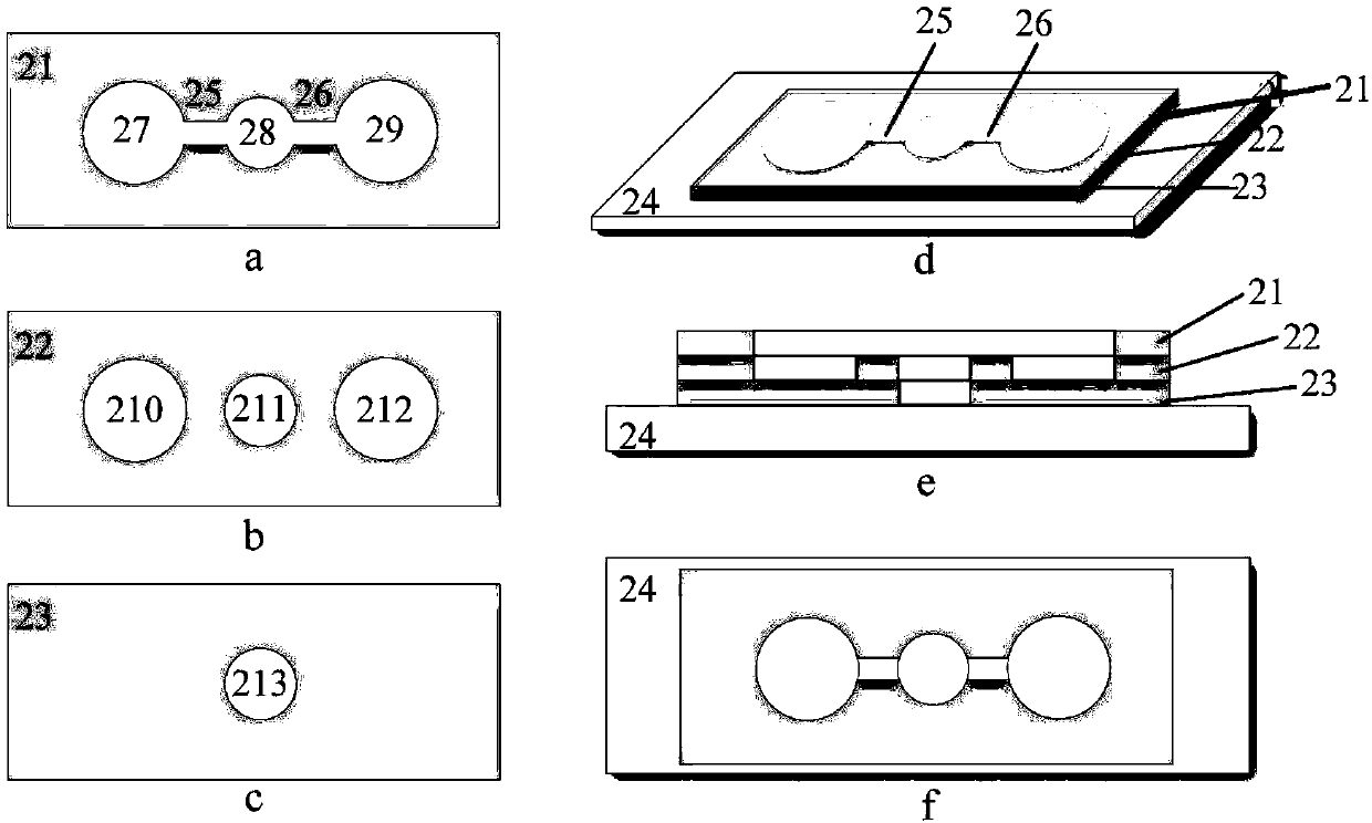 Micro-fluidic chip and method for studying cell chemotaxis