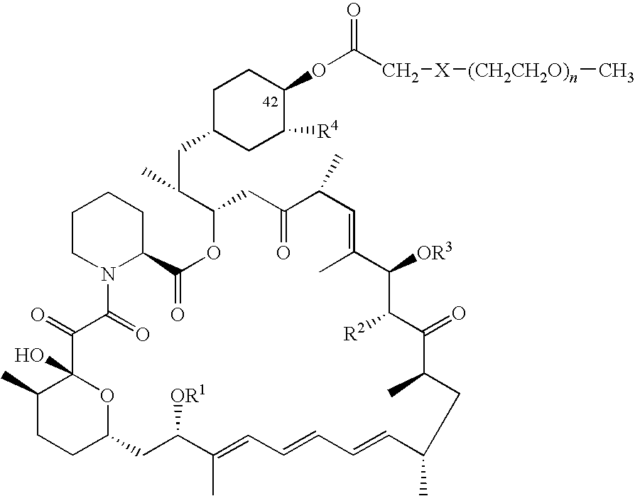 Processes for preparing water-soluble polyethylene glycol conjugates of macrolide immunosuppressants