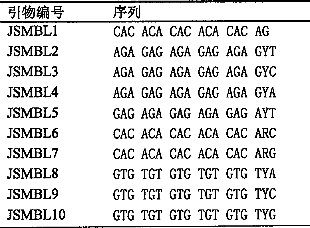 Simple repetitive sequence primer for portunus tritubereulatus