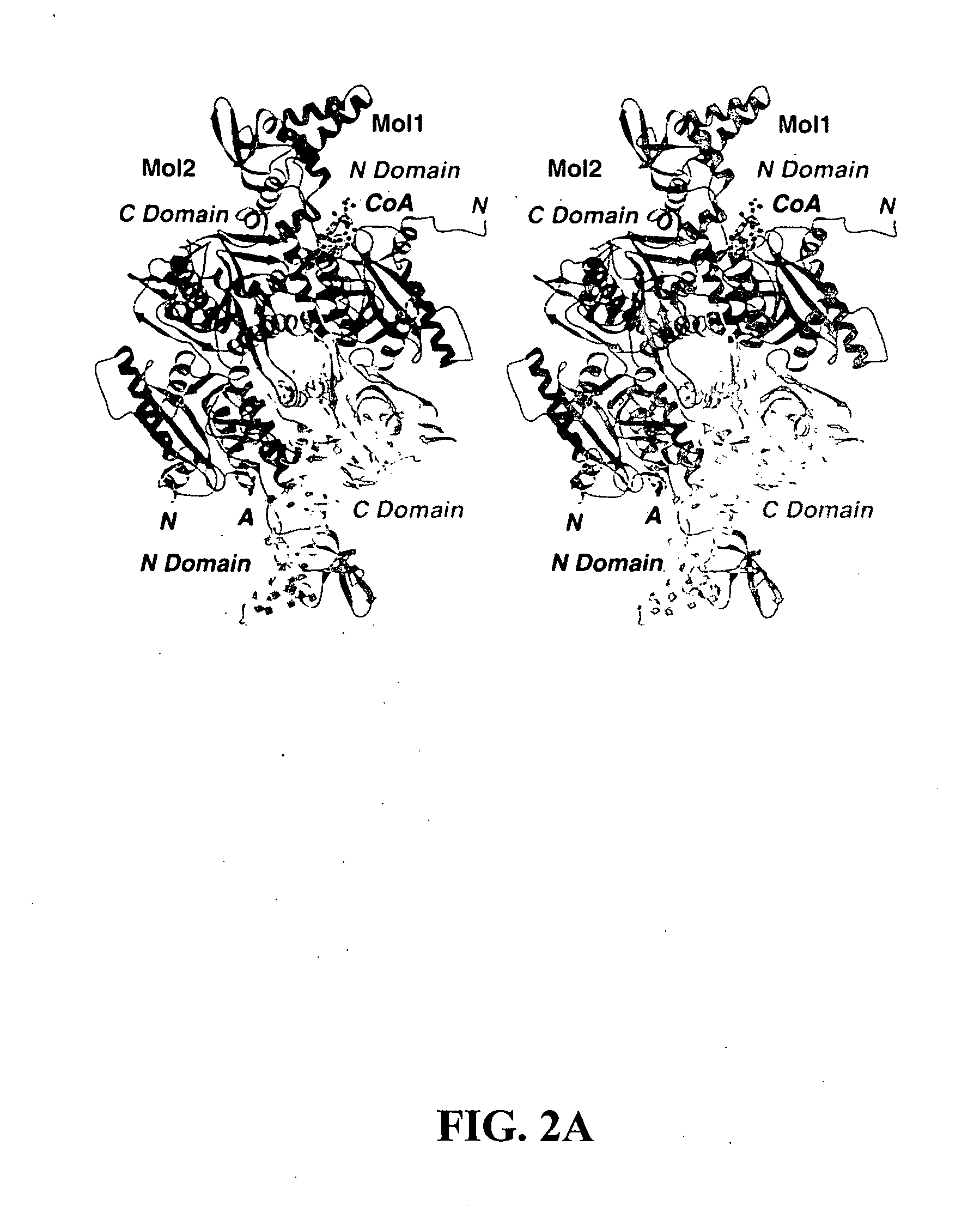 Methods of using crystal structure of carboxyltransferase domain of acetyl-CoA carboxylase, modulators thereof, and computer methods