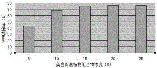 Whitening and moisturizing plant composition and application thereof