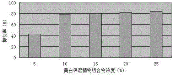 Whitening and moisturizing plant composition and application thereof