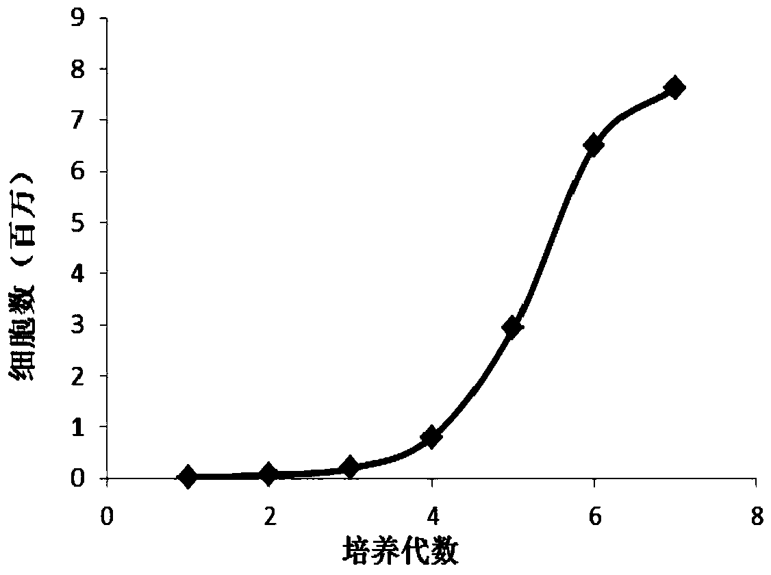 The application of type 1 thioredoxin in the culture of endothelial progenitor cells and the culture method of endothelial progenitor cells