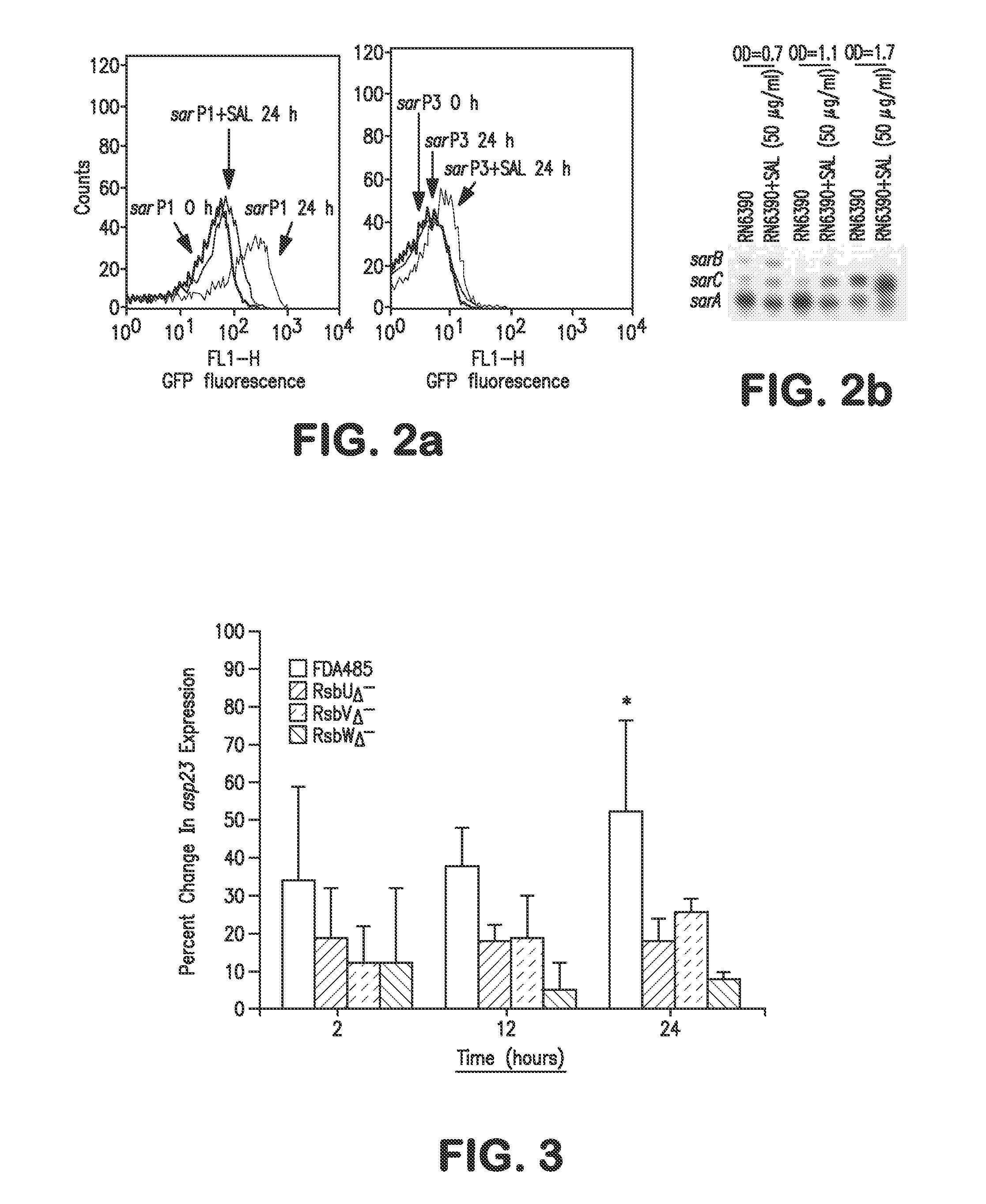 Anti-infective hydroxy-phenyl-benzoates and methods of use