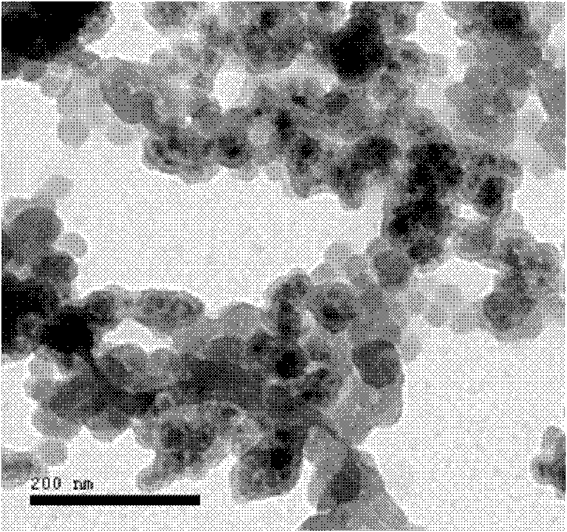 Method for detecting the colon bacillus by combining magnetic nanoparticle enrichment with bi-color flow cytometry