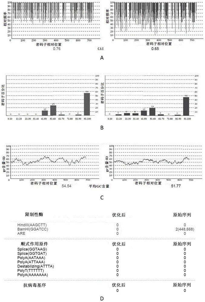 Codon optimized severe fever associated thrombocytopenia syndrome virus nucleoprotein gene and nucleic acid vaccine thereof