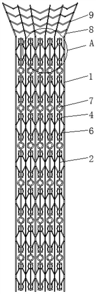 Carotid artery bracket for rapamycin drug eluting