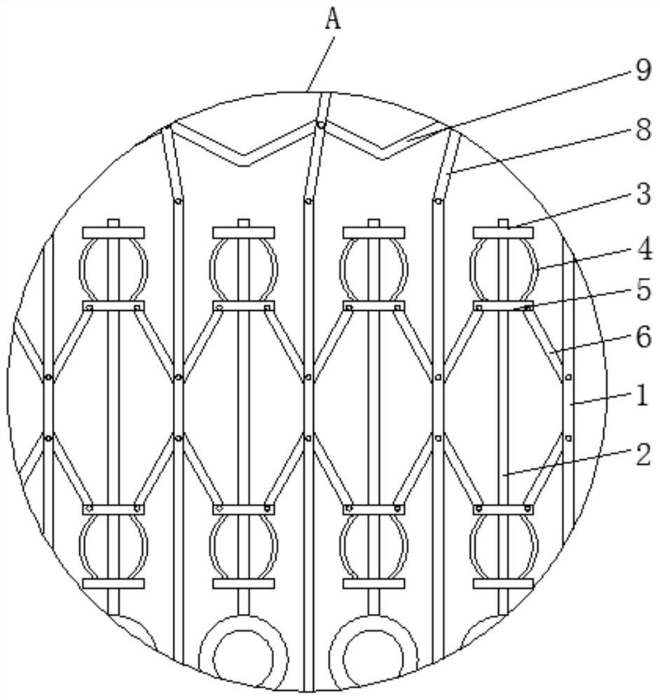 Carotid artery bracket for rapamycin drug eluting