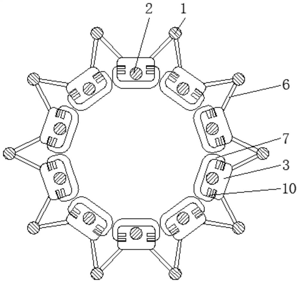 Carotid artery bracket for rapamycin drug eluting