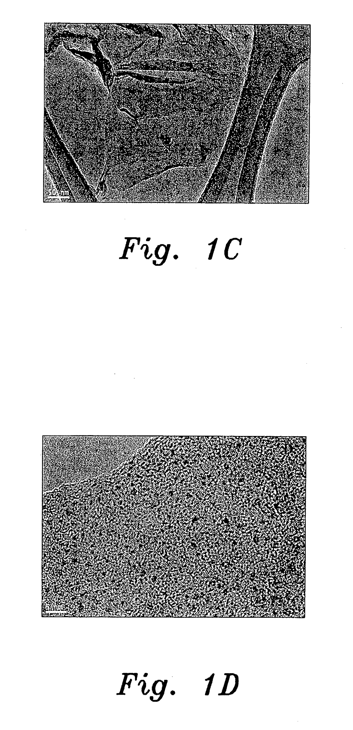 Method for producing noble metal nanocomposites