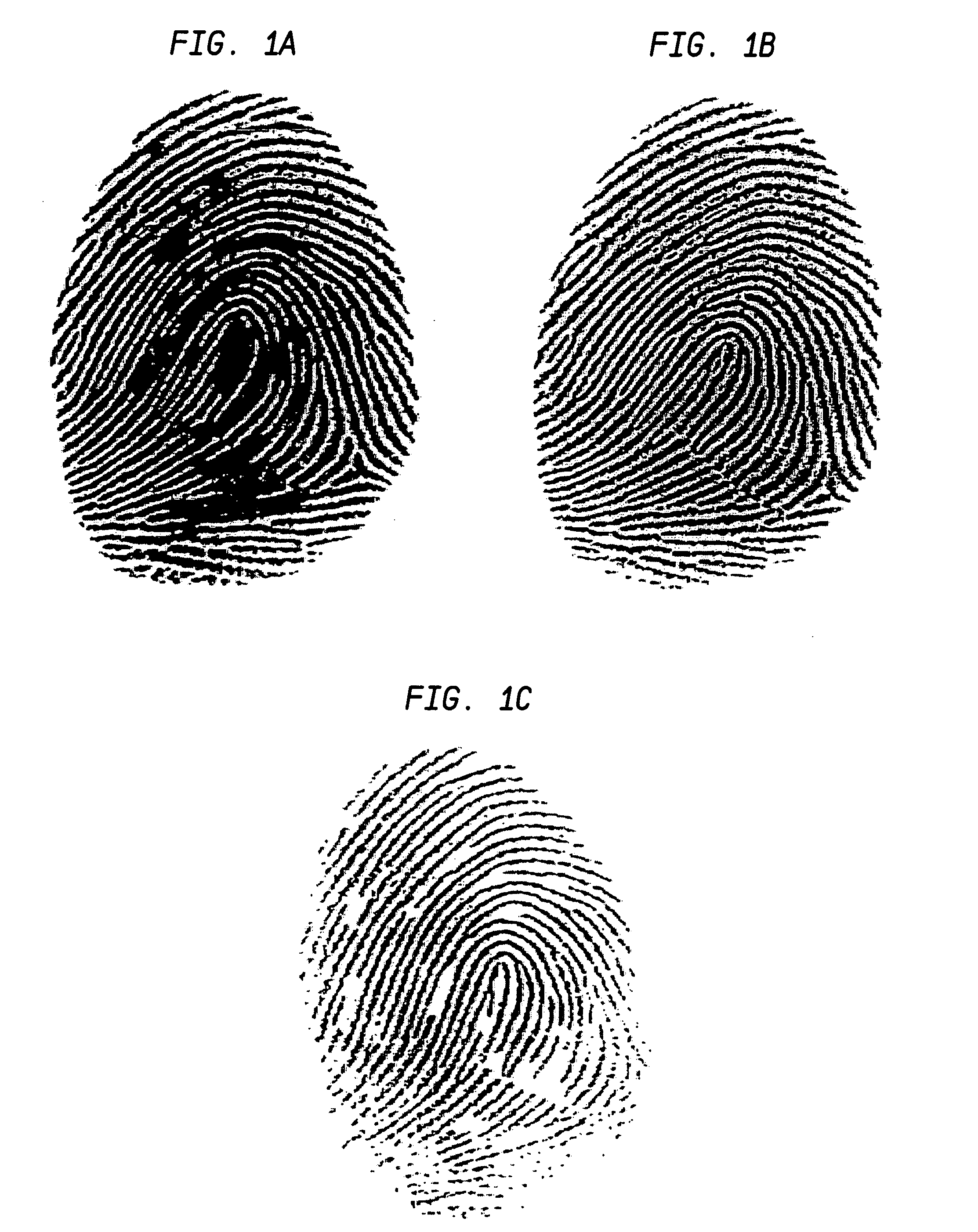 Fingerprint scanner auto-capture system and method