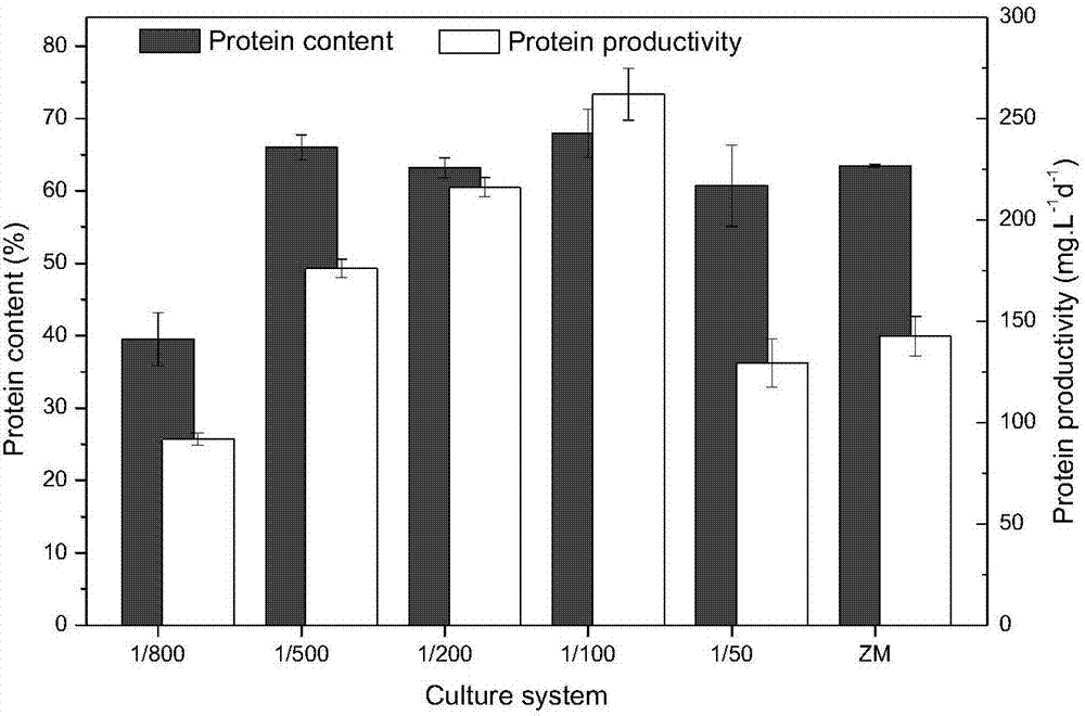 Method for producing spirulina biomass by using natural seawater and aginomoto for fermenting mother liquor