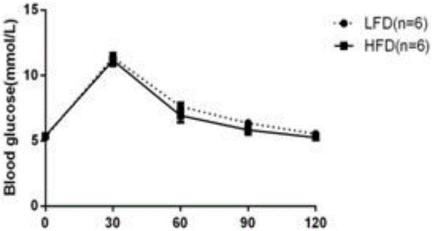 Method for rapidly establishing gestational-diabetes-mellitus mouse animal model