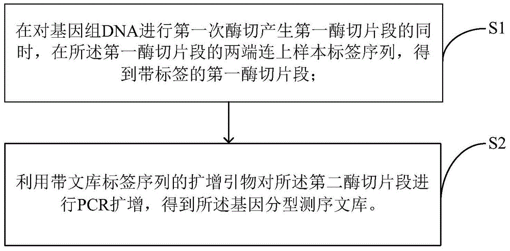 Construction method and sequencing method of genetic typing sequencing library
