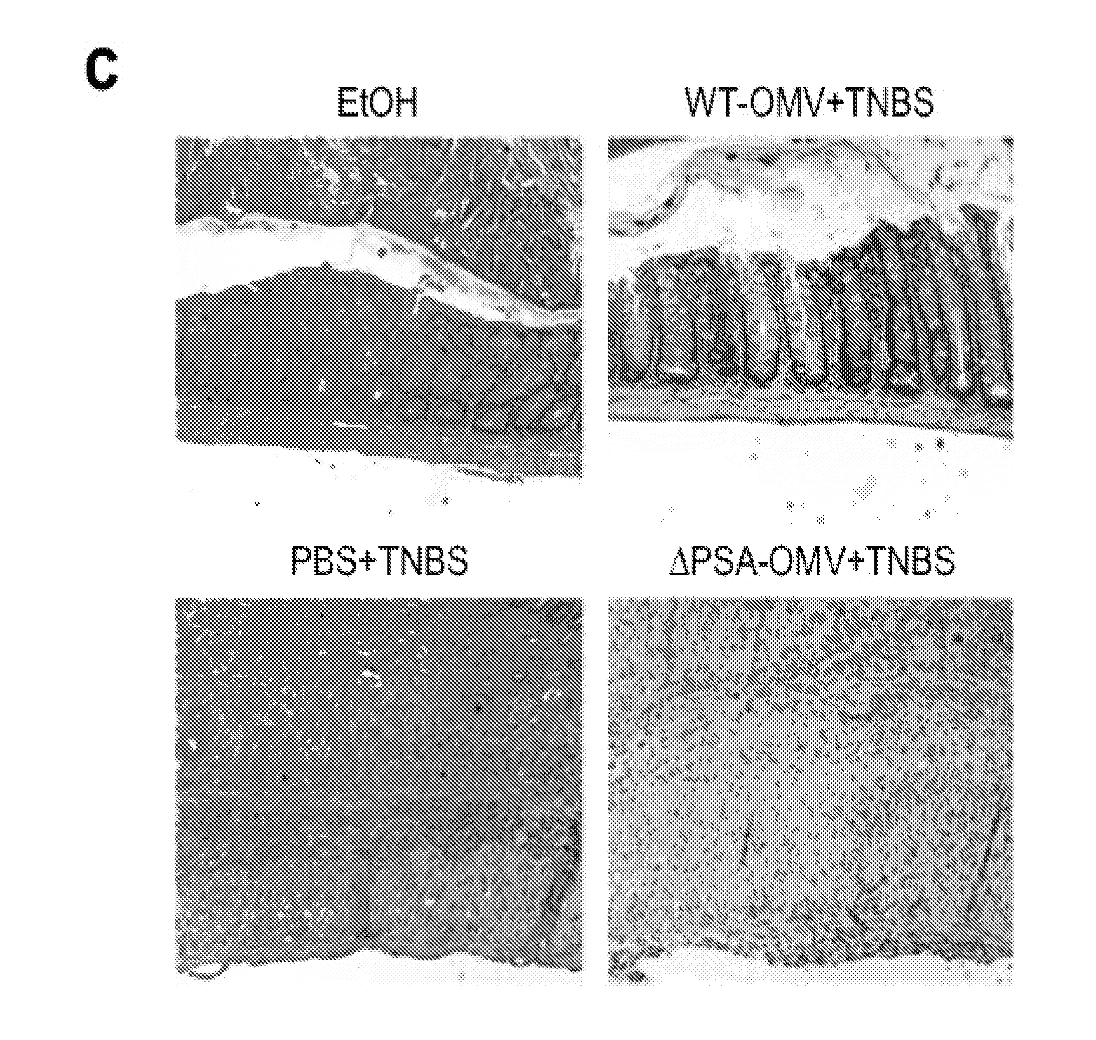 Vehicle for delivering a compound to a mucous membrane and related compositions, methods and systems