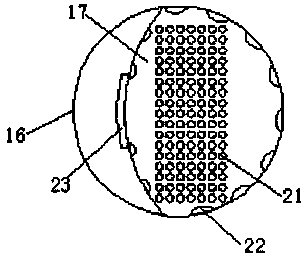 Street lamp with automatic irrigation function