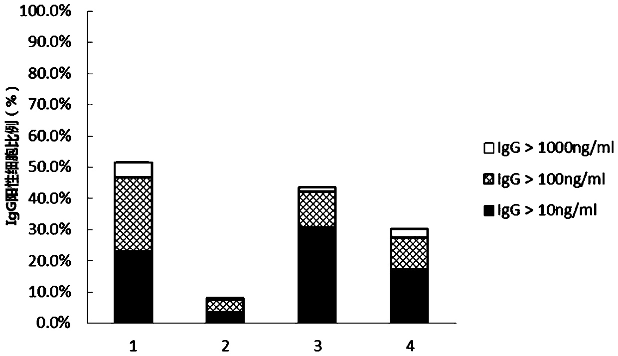 B lymphocyte in vitro culture system and applications thereof