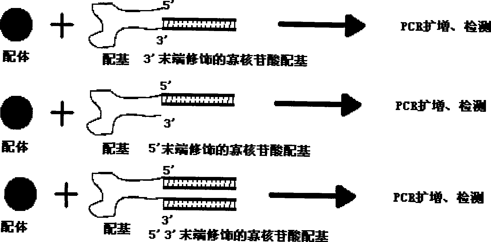 HCV viral antigen, ligand tube-type PCR detection kit, preparation and use thereof