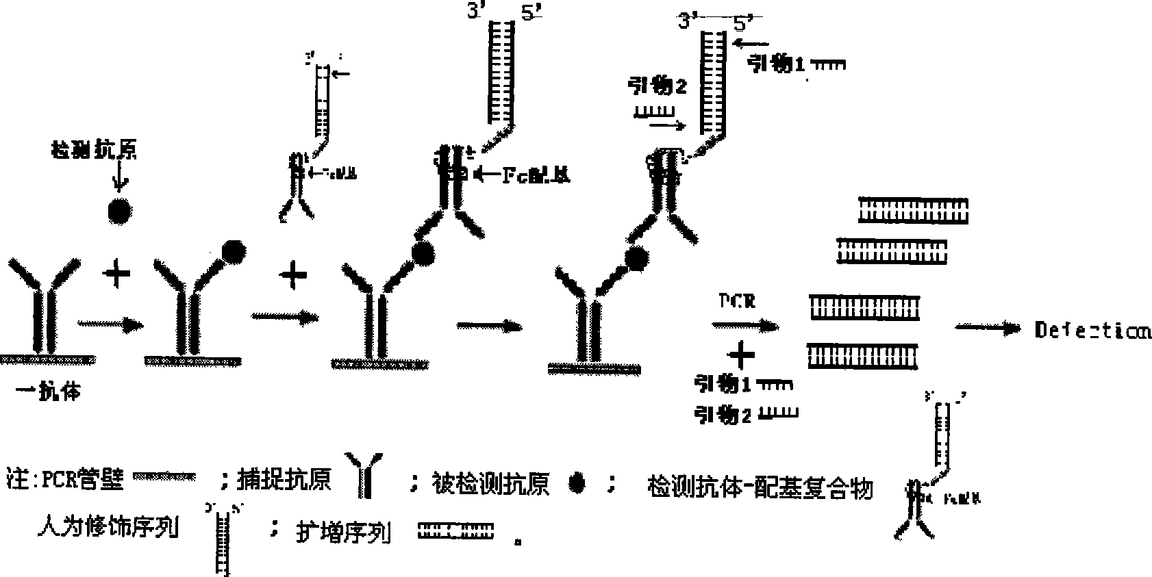 HCV viral antigen, ligand tube-type PCR detection kit, preparation and use thereof