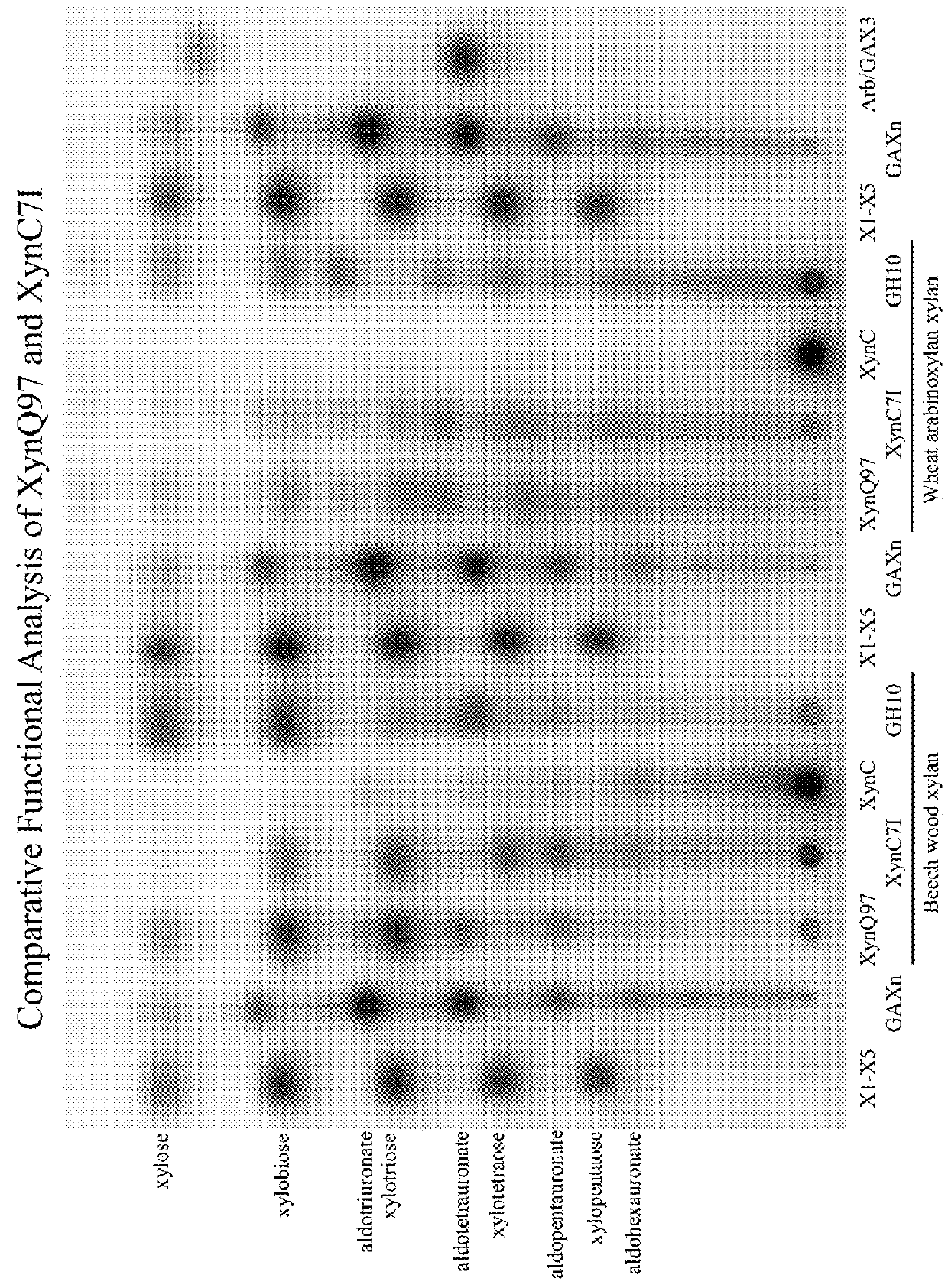 Glycosyl hydrolase xylanases, compositions and methods of use for efficient hydrolysis and processing of xylan