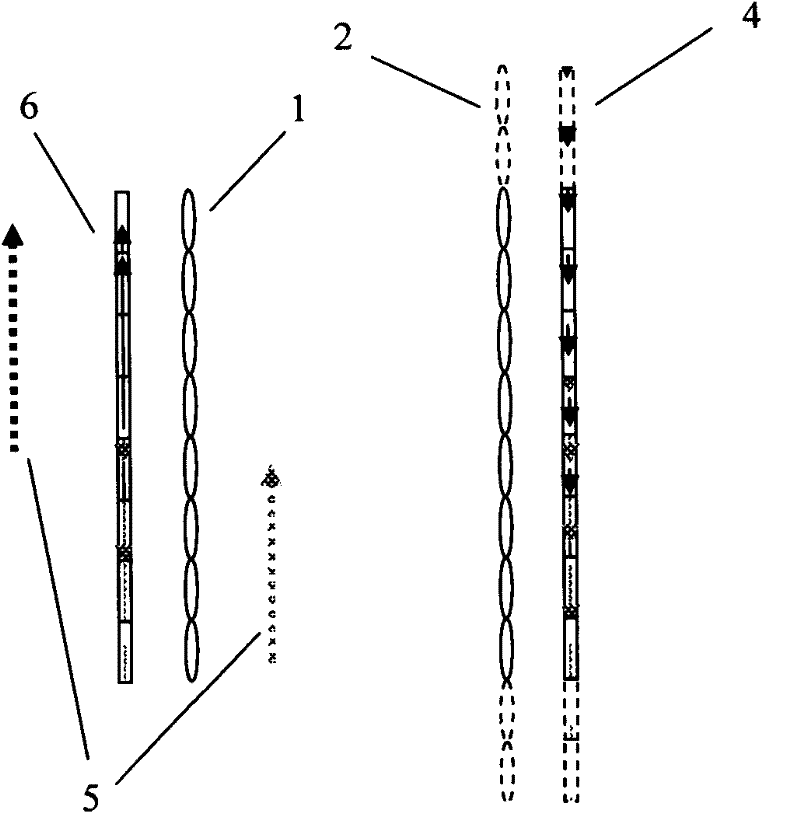 Method for solving problem of black borders in two-step integration imaging