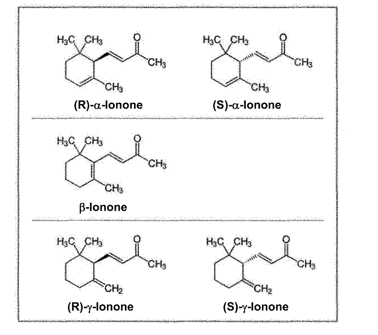 Method of fermentative alpha-ionone production