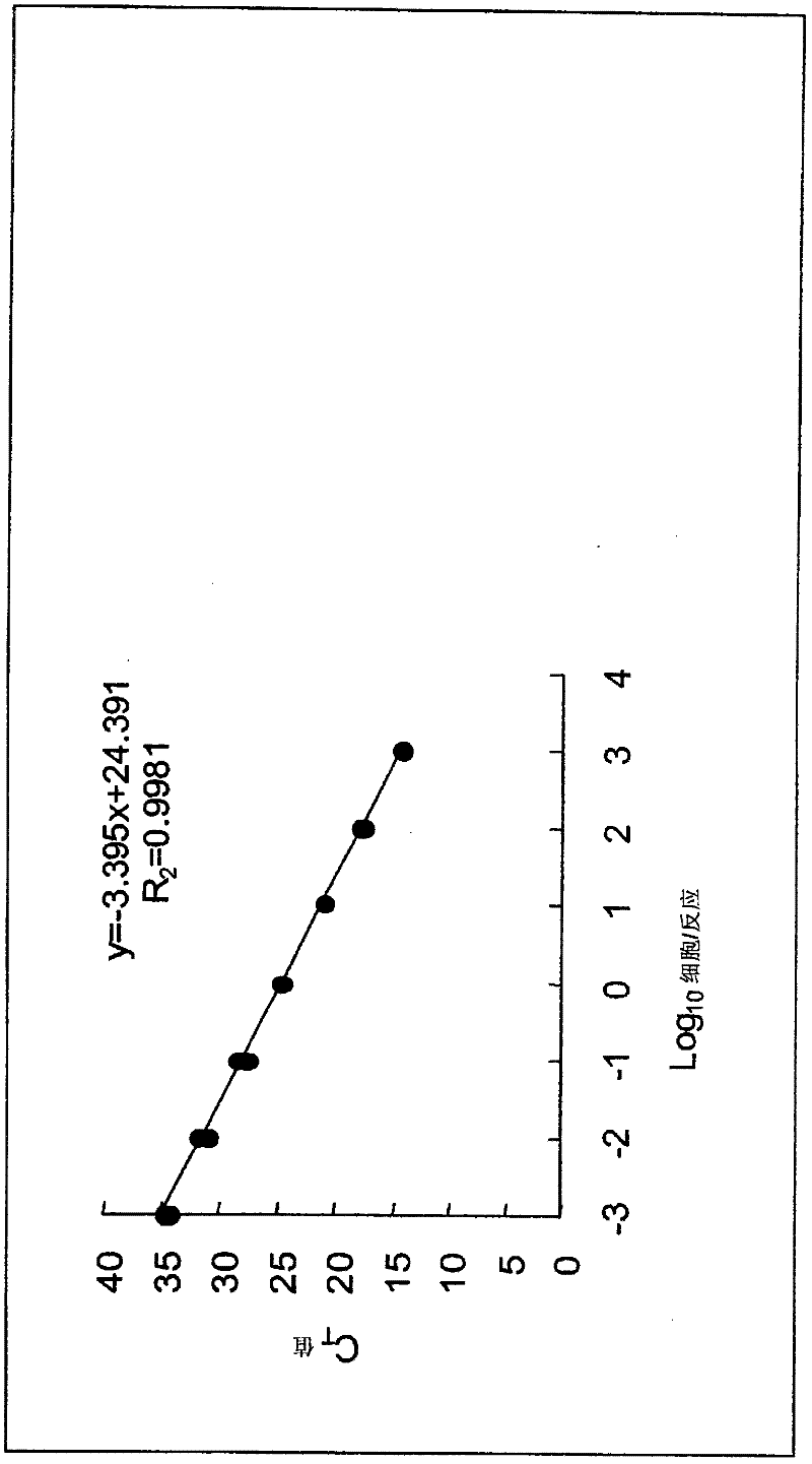 Equol-producing bacterium and use thereof