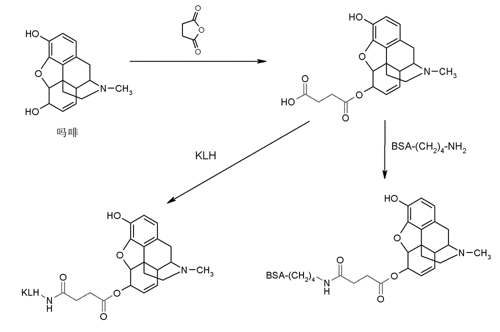 High-throughput drug and poison rapid detection chip and system