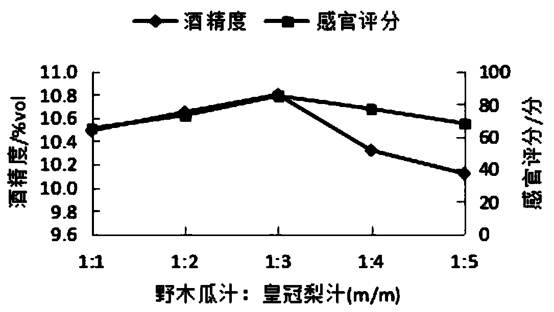 Stauntonia chinensis and crown pear composite fruit wine and preparation method thereof