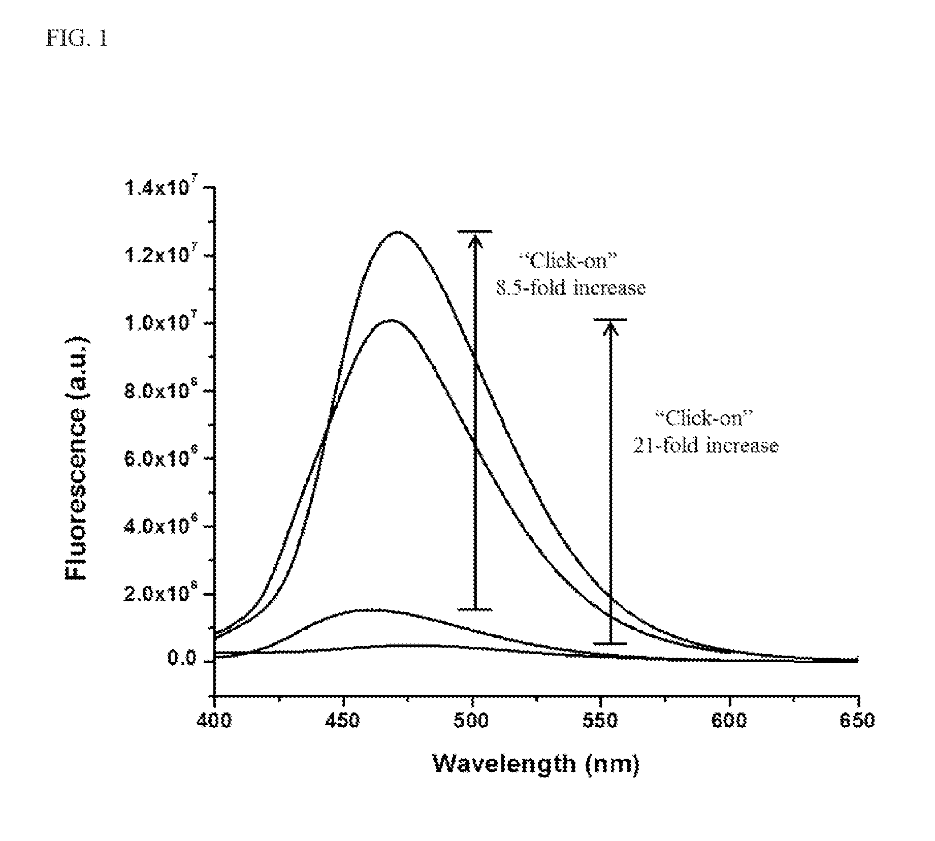 Fluorogenic dendrimer reporters and related methods of use