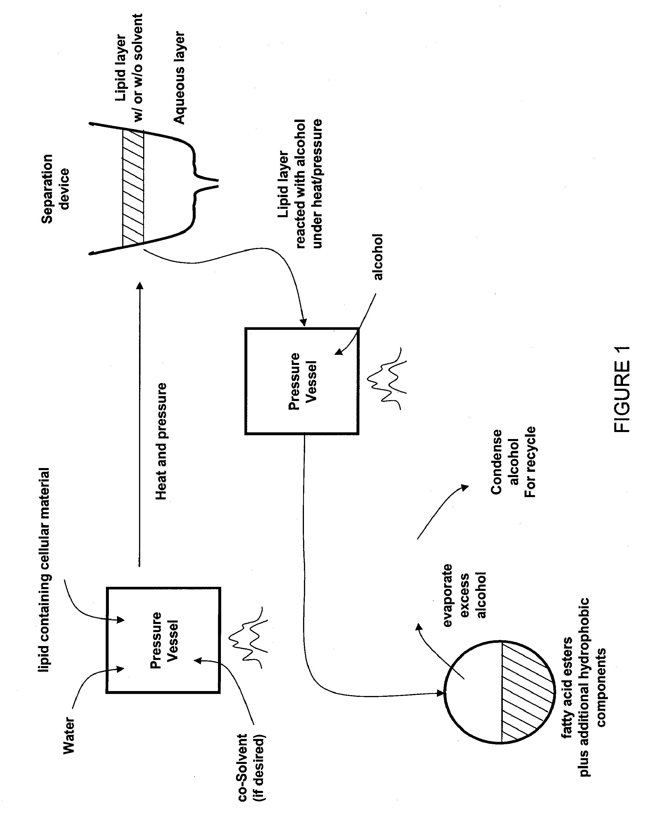 Methods of robust and efficient conversion of cellular lipids to biofuels