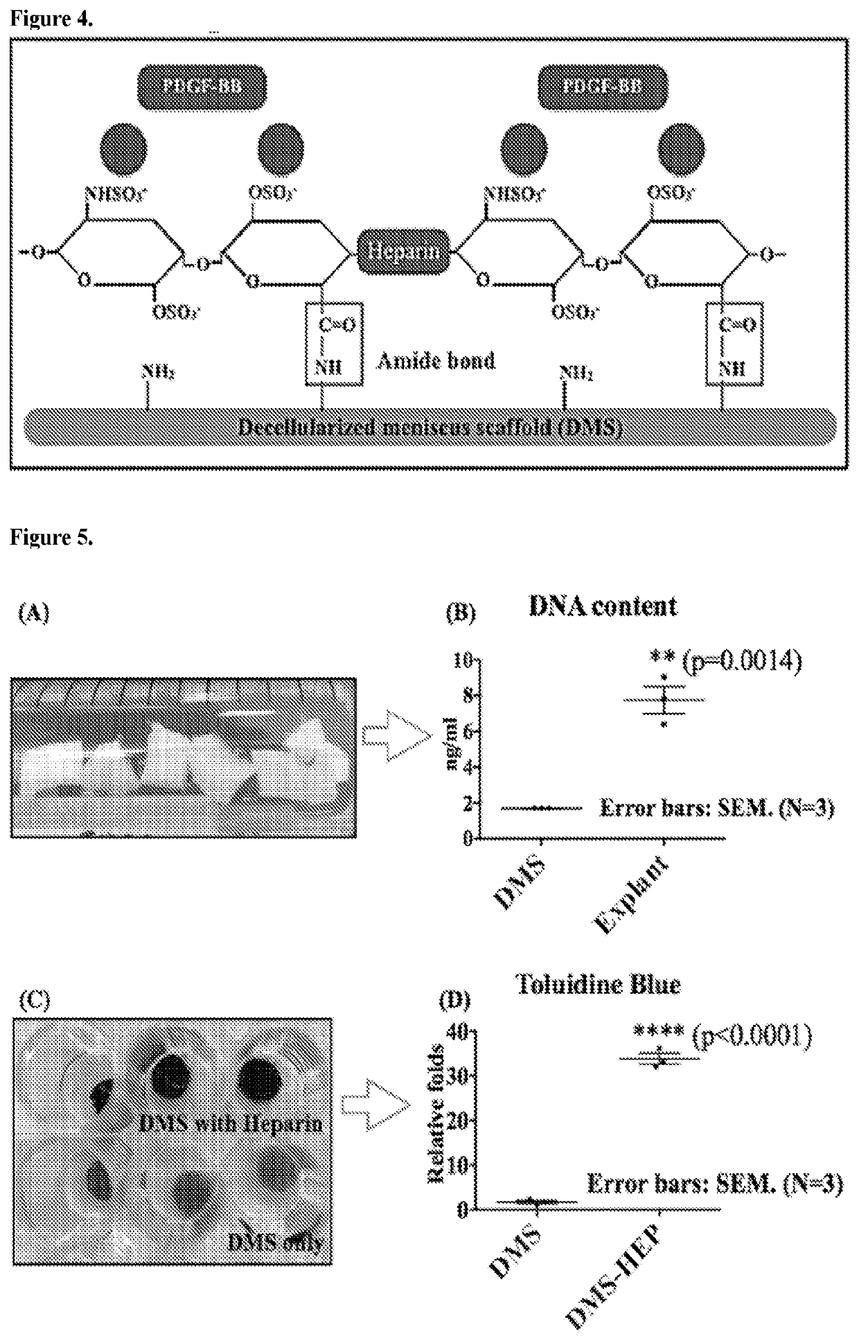 Functionalized Scaffold To Promote Meniscus Repair