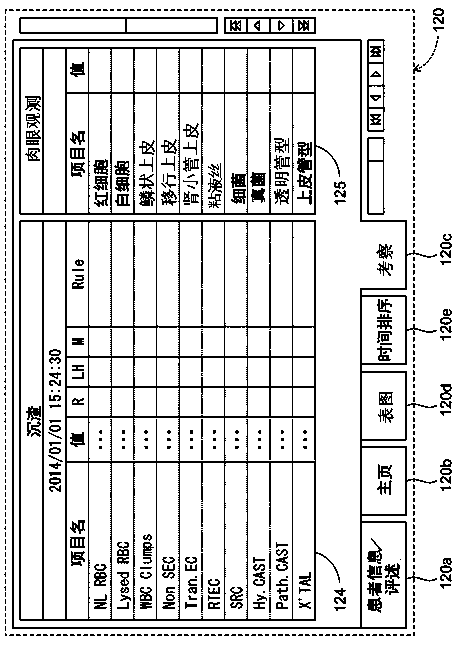 Sample inspection system, information processing device and information processing method