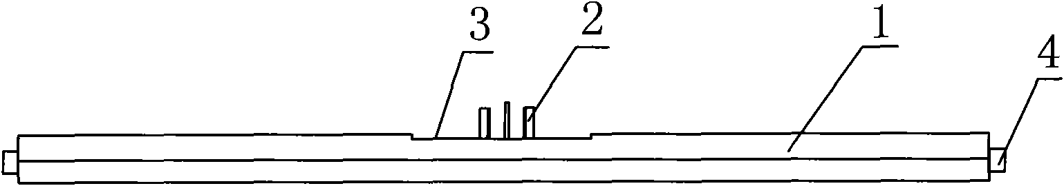 Wall type socket with power plug