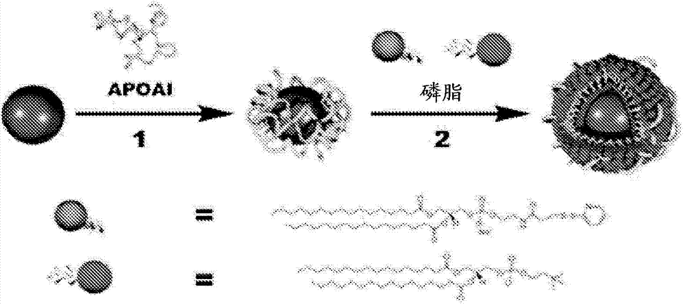 Nanostructures for treating cancers and other conditions