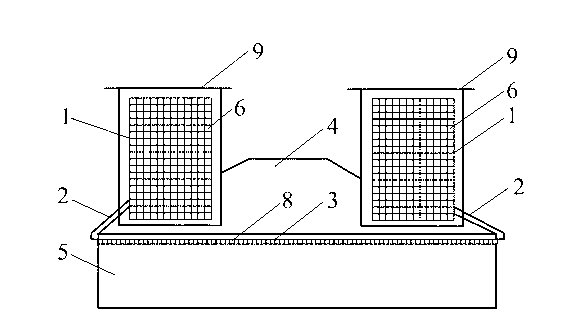 Natural lighting and ventilation integrated device for tunnel and manufacturing method thereof