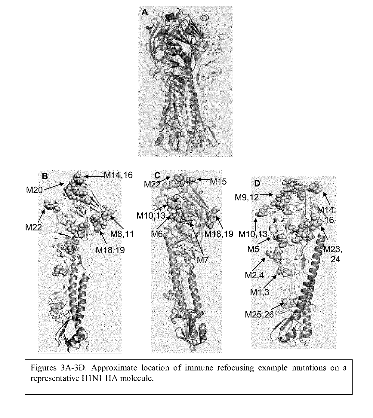 Immunogenic influenza composition