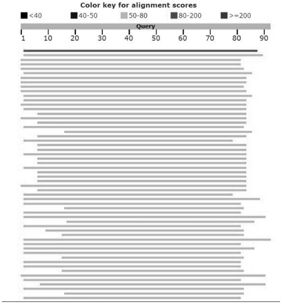 A Salmonella phage lpse34 and its application in food