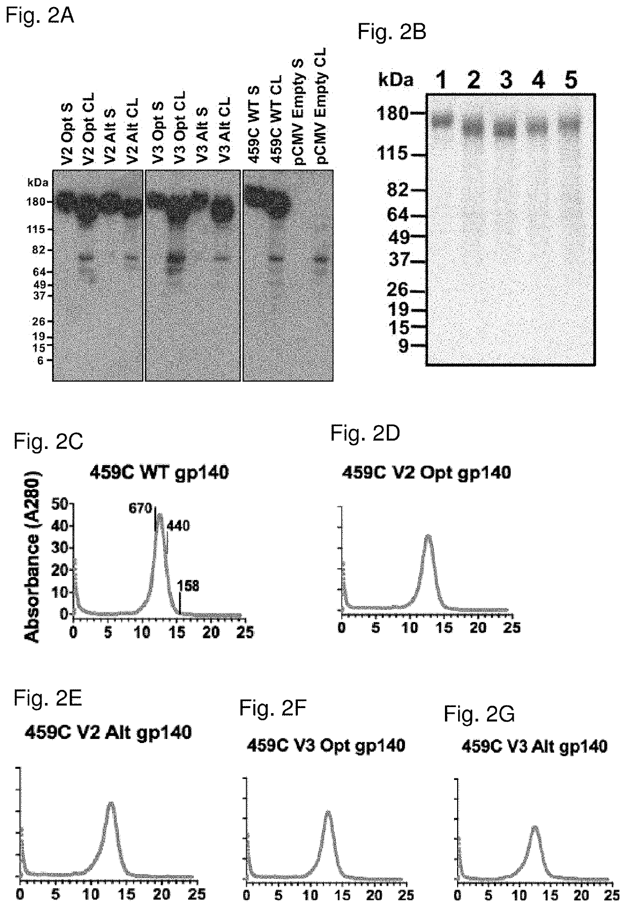 Signature-based human immunodeficiency virus (HIV) envelope (ENV) trimer vaccines and methods of using the same