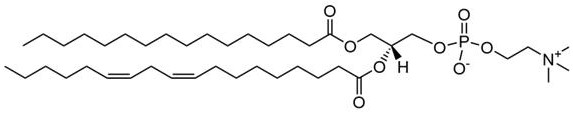 Phosphatidyl-agaro-oligosaccharide and preparation method thereof