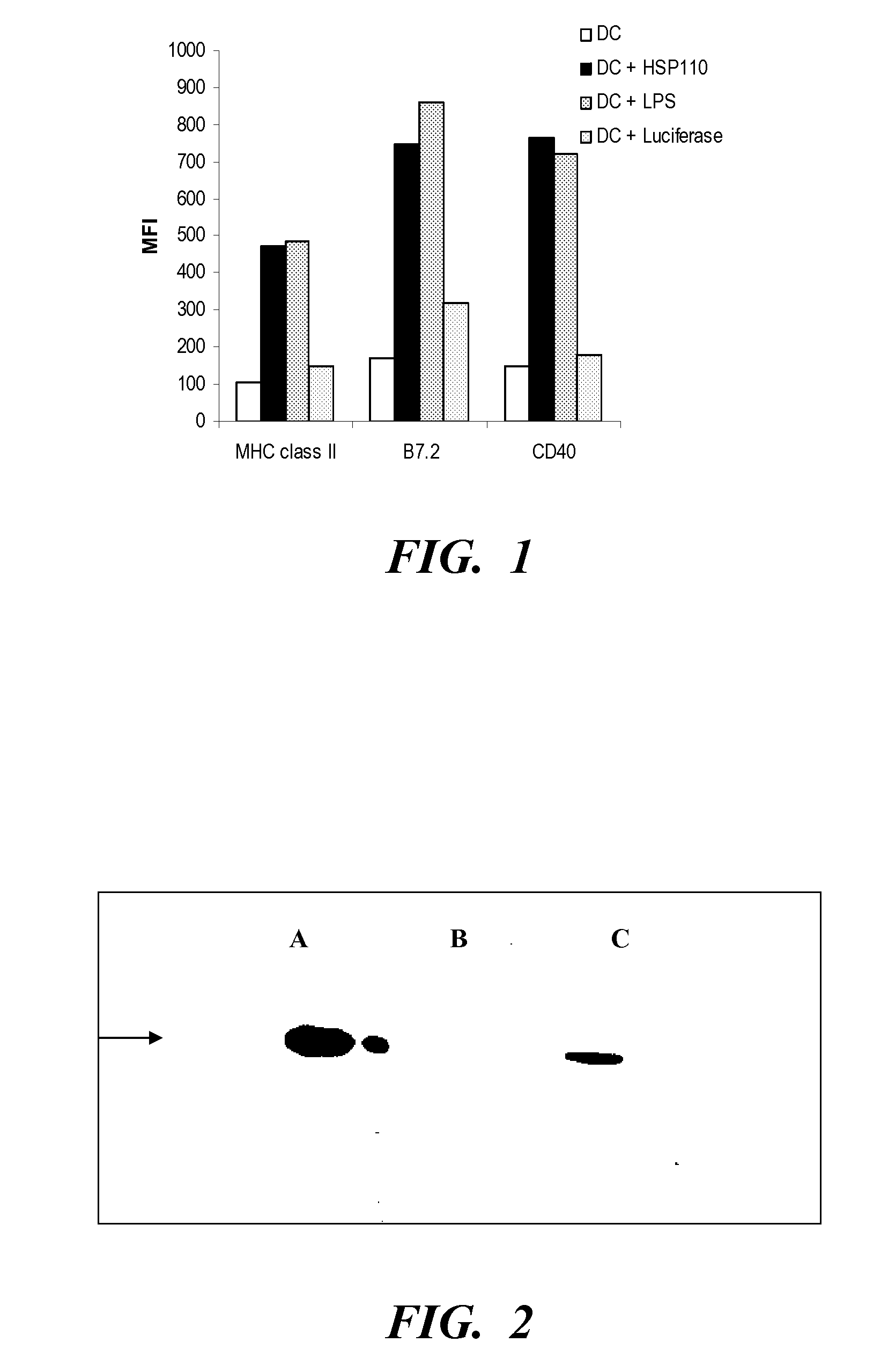 Compositions and methods for prevention and treatment of fungal diseases