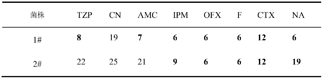 Application of citral in inhibiting growth of multi-drug resistant enterobacter sinensis