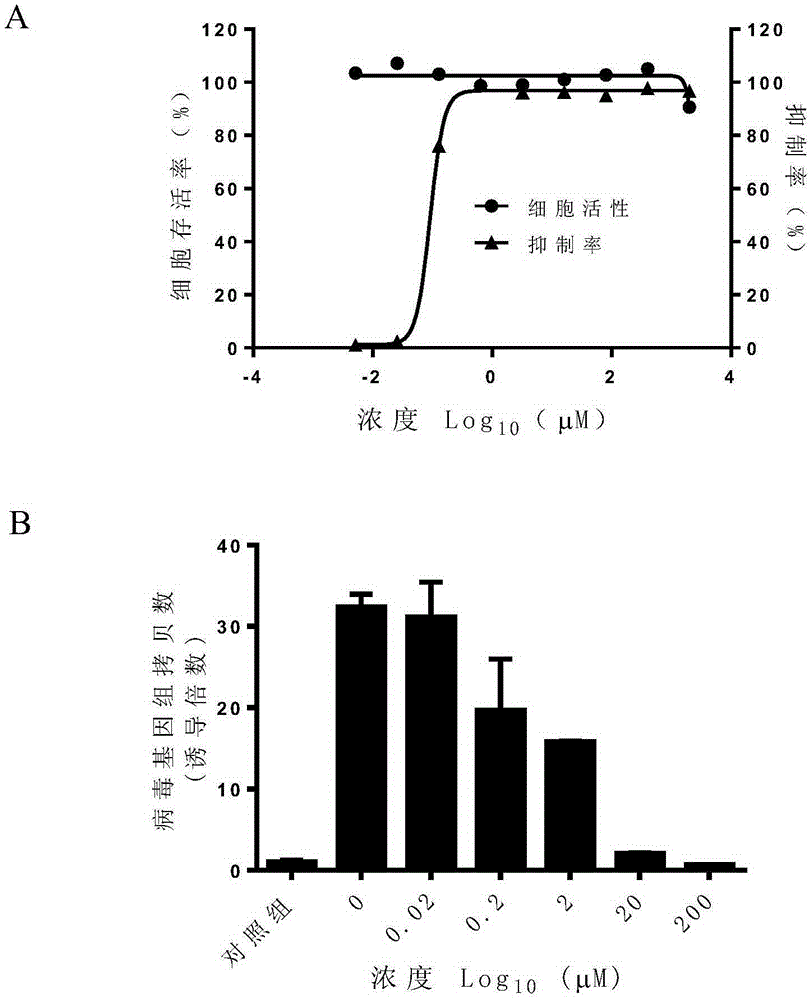 Application of thymidylate synthase as target in screening anti-herpes virus drugs