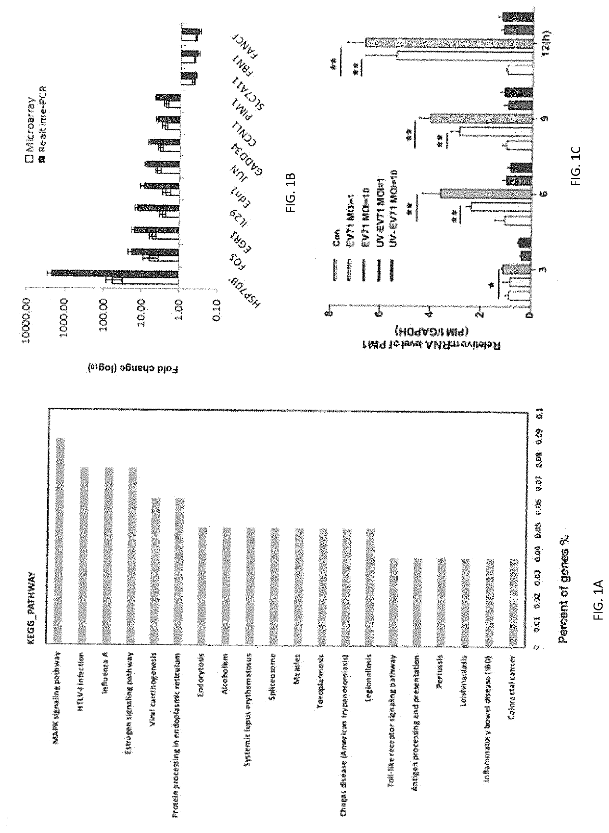 Pim1 inhibitors for use in treatment of viral infection and pharmaceutical compositions thereof