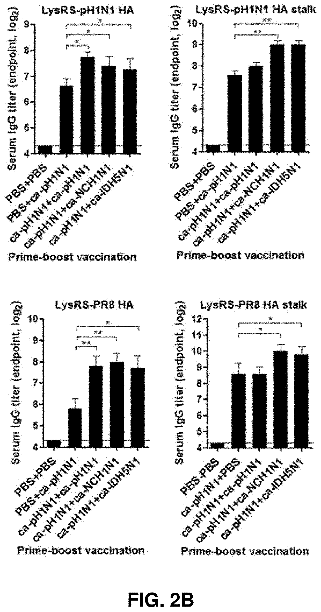 Universal influenza vaccine using cold-adapted live-attenuated virus