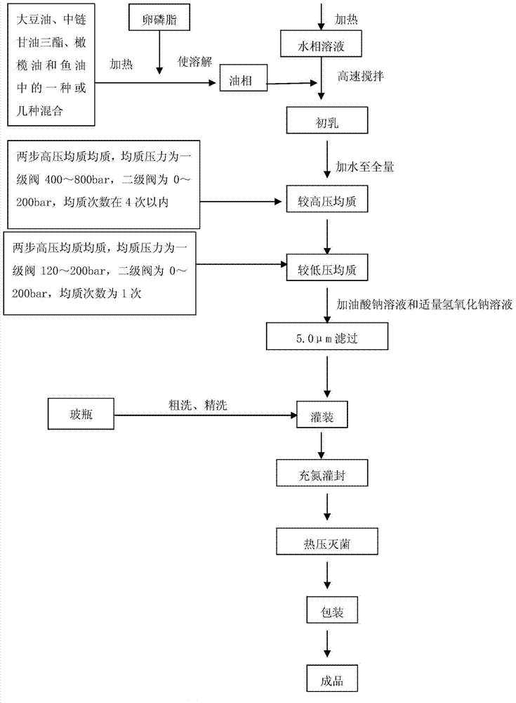 Fat emulsion injection and preparation method thereof